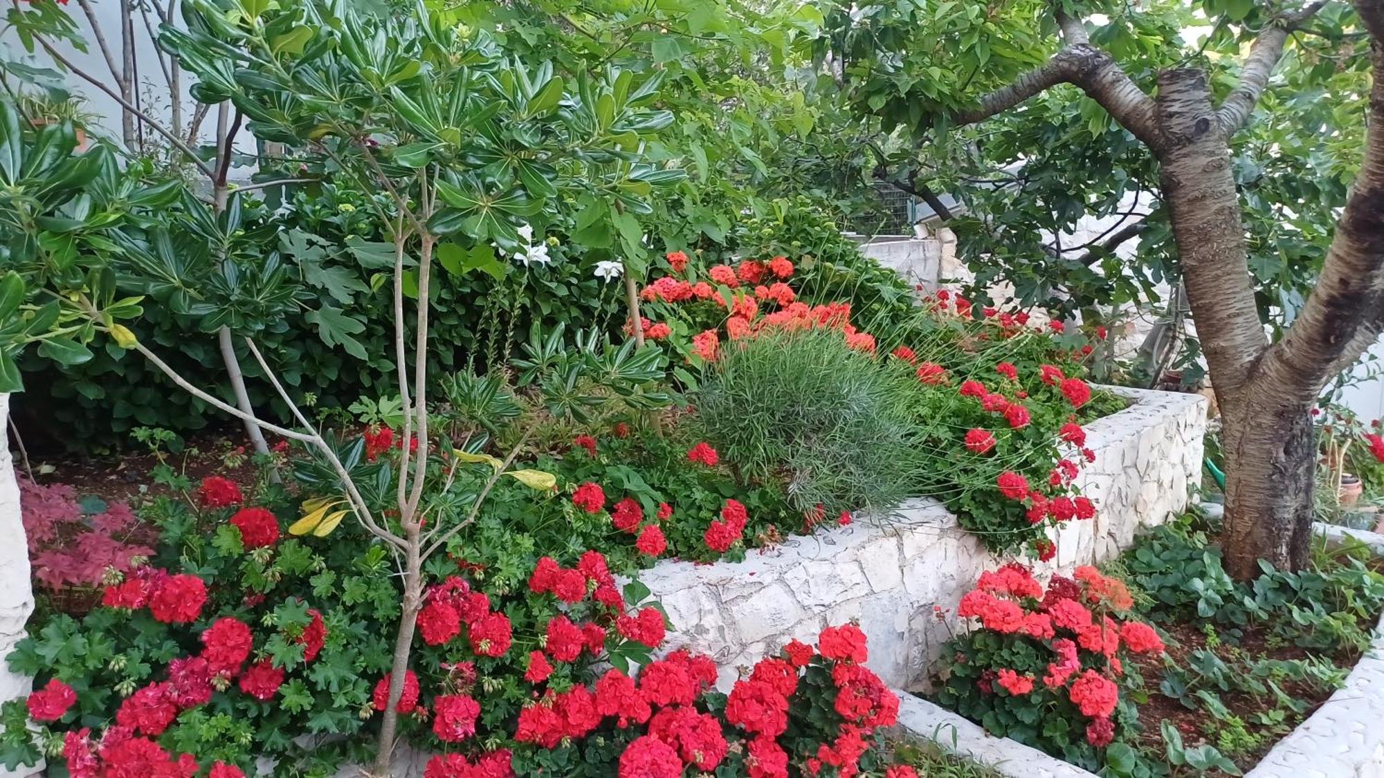 Apartments Jaksic Трогир Екстериор снимка
